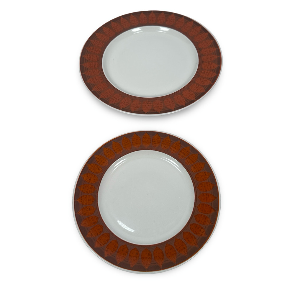 Franciscan Discovery Dinner & Salad Plate Brown White Terra Cotta Round Lot of 2